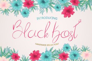 Black Kost Typeface Review: Elevating Campaign Visuals with Handmade Brush Style