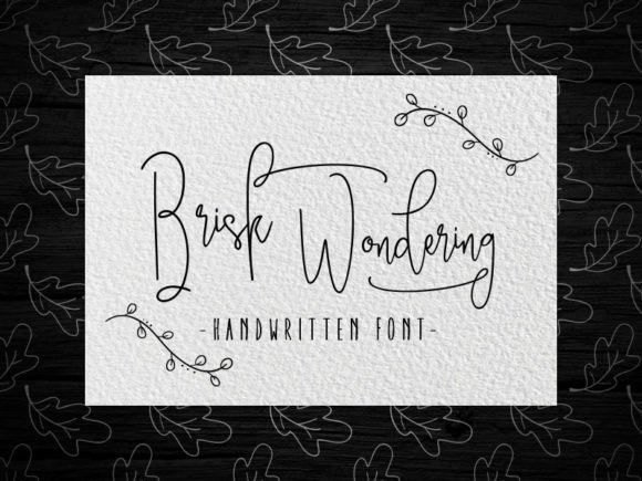 Brisk Wondering: The Elegant Handwritten Font for Personal Branding