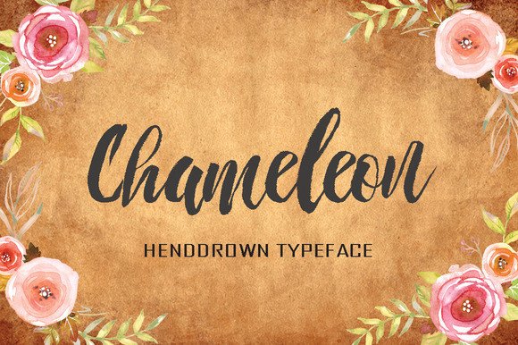 Chameleon Typeface: Elevate Handmade Labels and Invitations