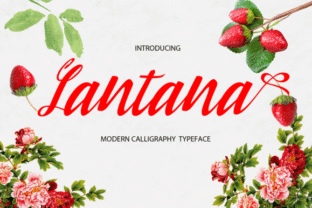 Lantana: The Modern Script Typeface for Handmade Branding