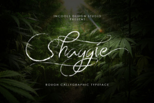 Shaggie: A Hand-Bruned Script Font for Modern Web Design