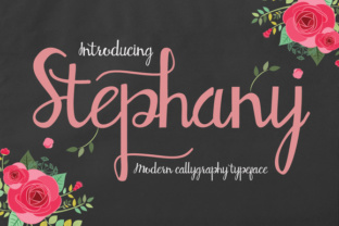 Stephany: The Bold Script Typeface for Scroll-Stopping Visuals