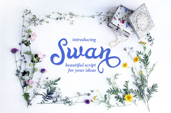 Swan: The Premium Handwritten Typeface for Polished Brand Identity