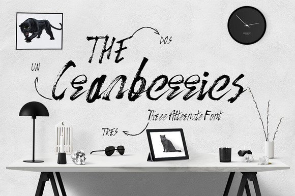 The Cranberries Typeface: Elevating Editorial Design with Grace