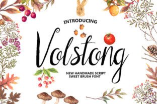 Volstong: The Handmade Script Typeface for Editorial Design