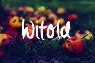 Witold: A Designer’s Honest Review of This Script Amp Typeface