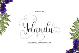 Yolanda Typeface Review: A Modern Script for Digital Branding