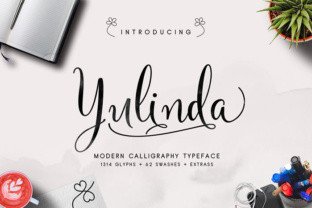 Yulinda Typeface: Elevate Campaign Visuals with Modern Script Design